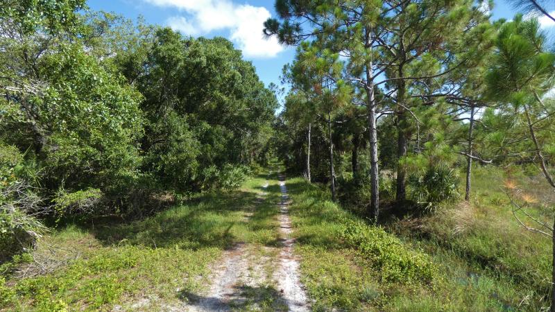 Ditches can be seen on both sides of River Road.